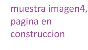 muestra4